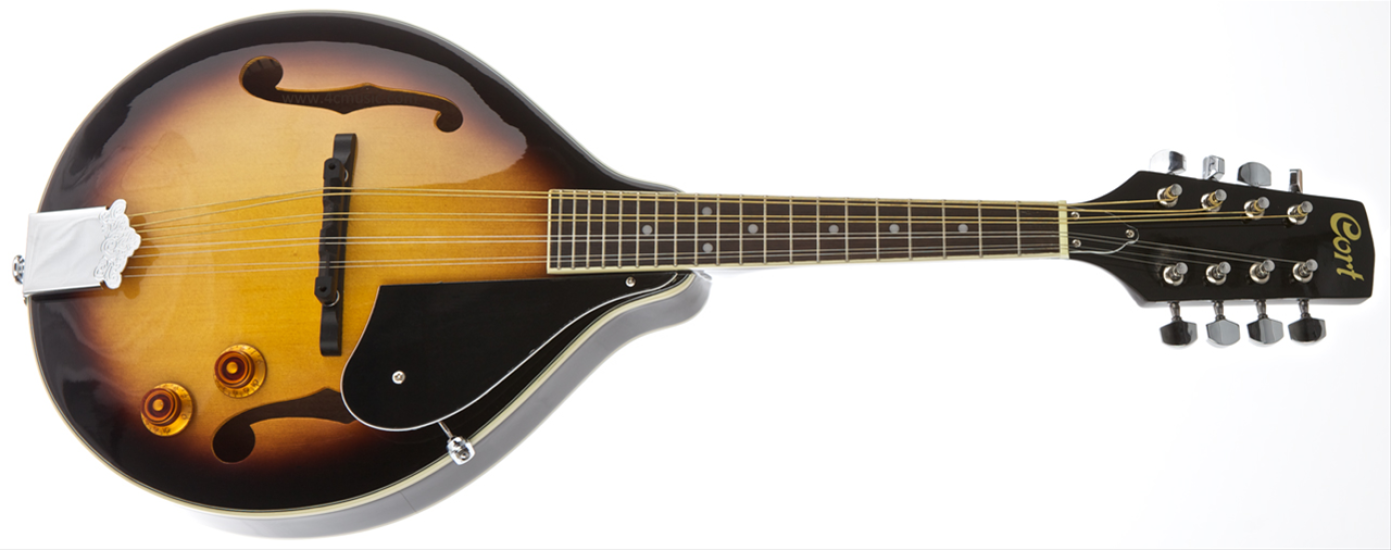 ELEKTRO MANDOLIN ÇANTALI, ANTİK SUNBURST, LADİN KA