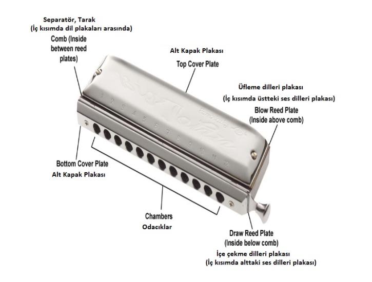 MIZIKA 10 DELİK, MODEL: PROFESSIONAL HARMONICA