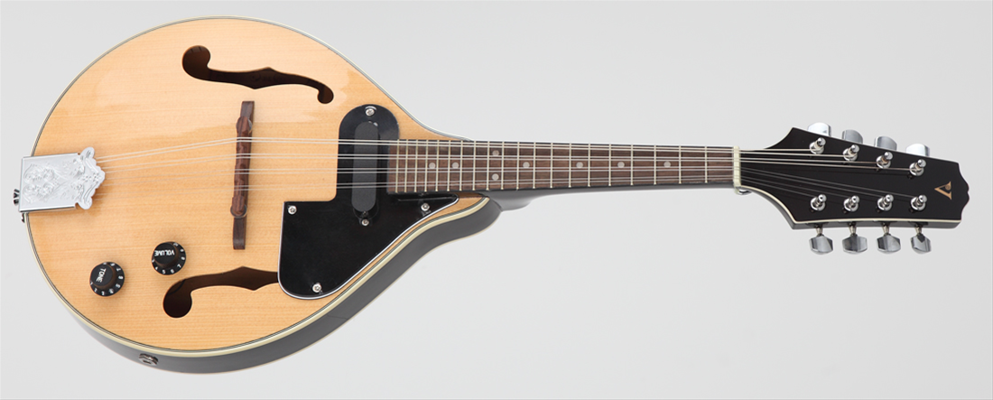 ELEKTRO MANDOLIN